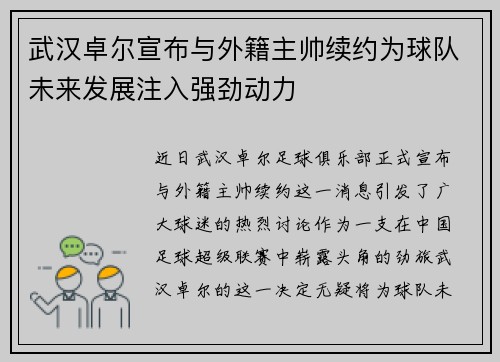 武汉卓尔宣布与外籍主帅续约为球队未来发展注入强劲动力